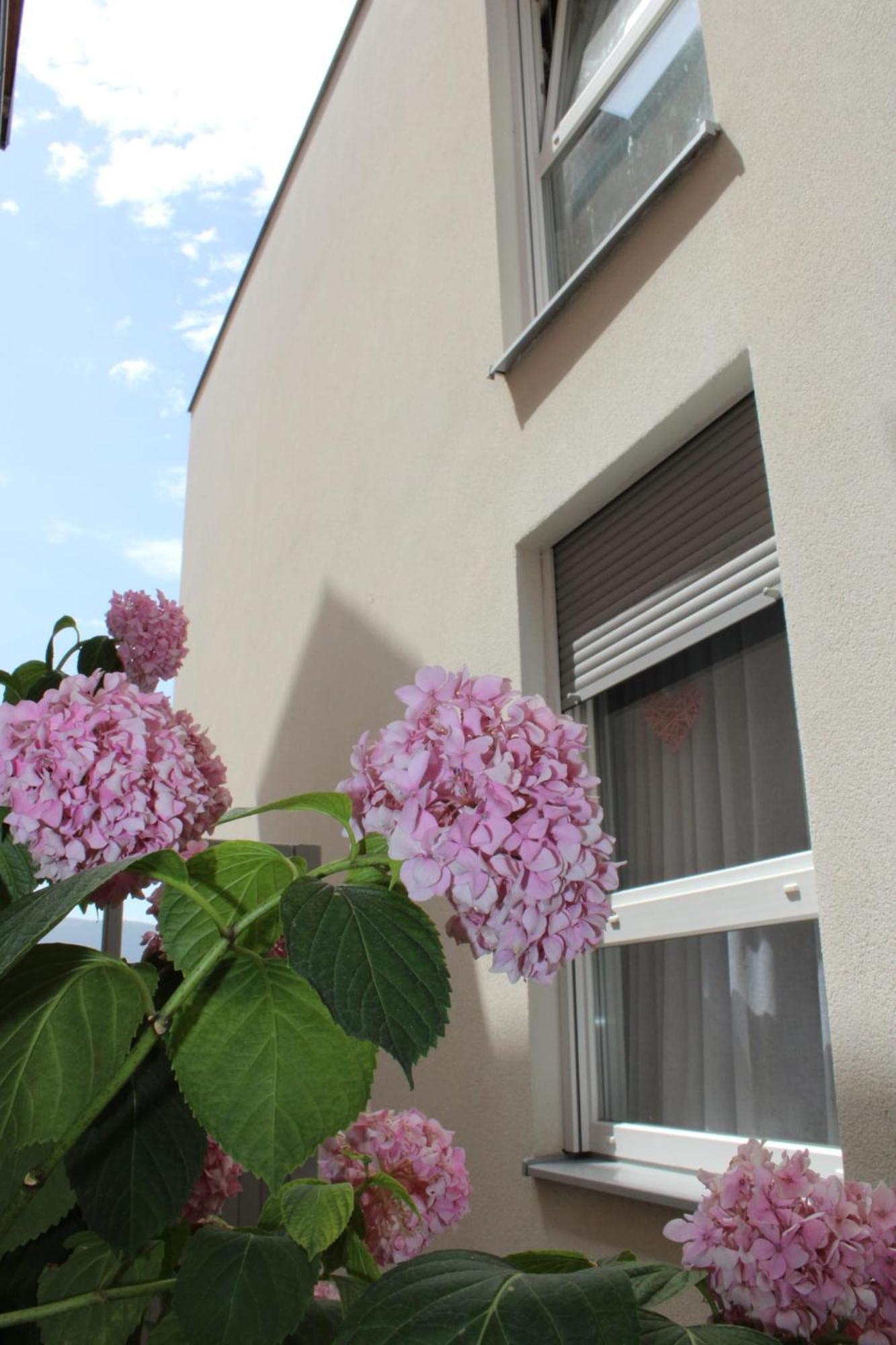 Apartment Merry - Free Garage & Parking Mostar Dış mekan fotoğraf